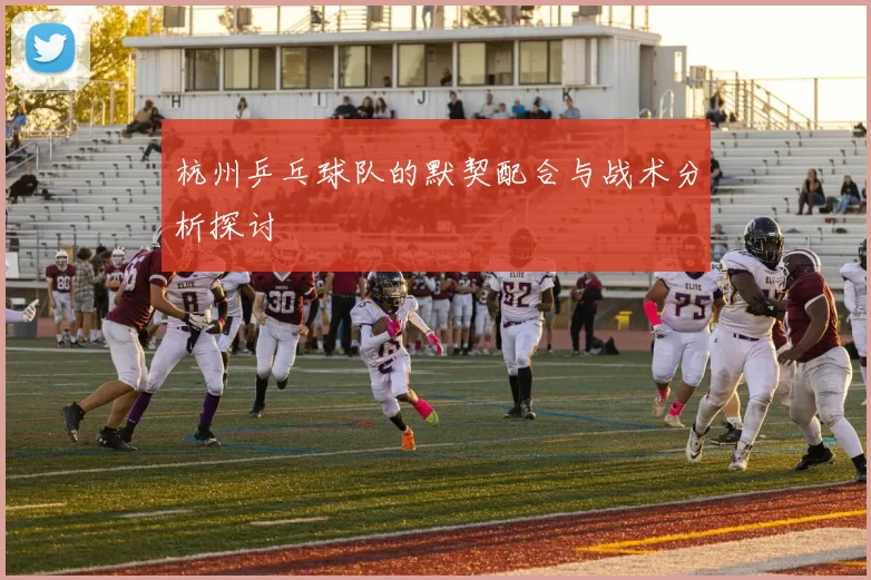 杭州乒乓球队的默契配合与战术分析探讨